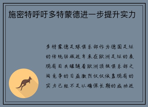 施密特呼吁多特蒙德进一步提升实力